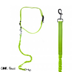 Cool Paws Running Belt & Lead